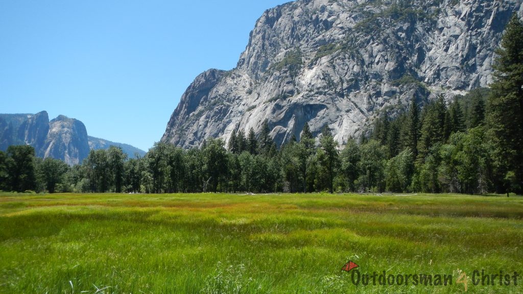 El Capitan Meadow