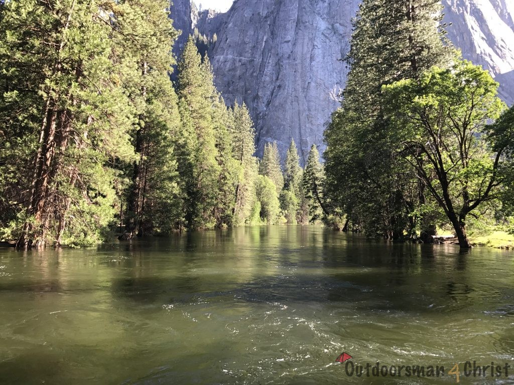 water with trees